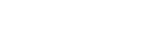 Ainex Services